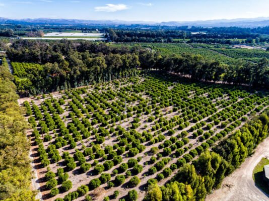 5890 Old Balcom Canyon Rd-large-043-046-06-1335x1000-72dpi